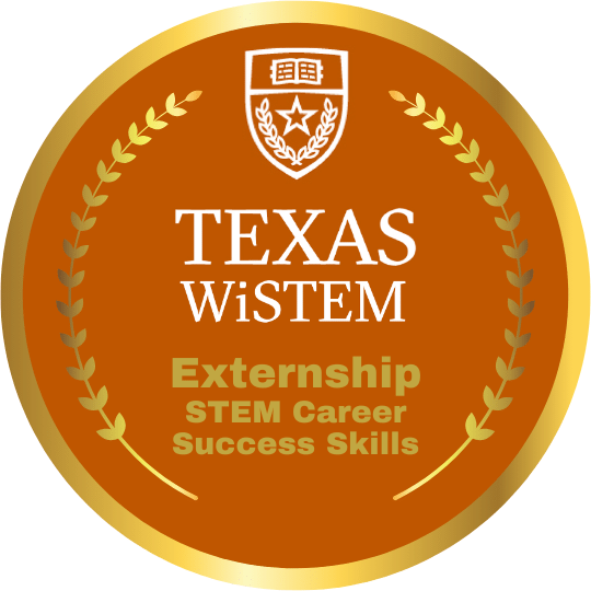 Externship-STEM-Career-Success-Skills