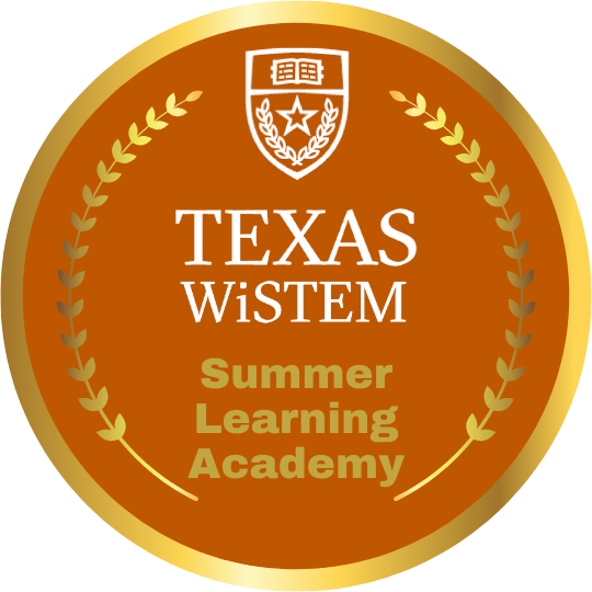 Texas WiSTEM Summer Learning Academy Logo